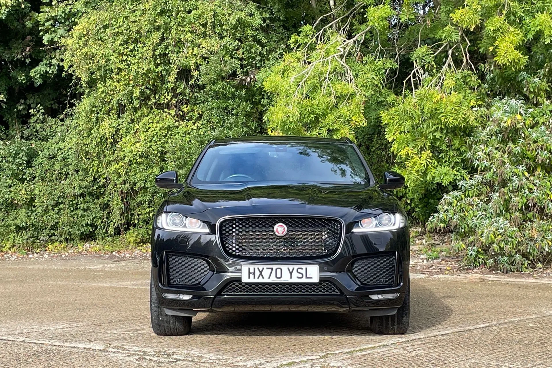 Jaguar F-PACE thumbnail image number 12