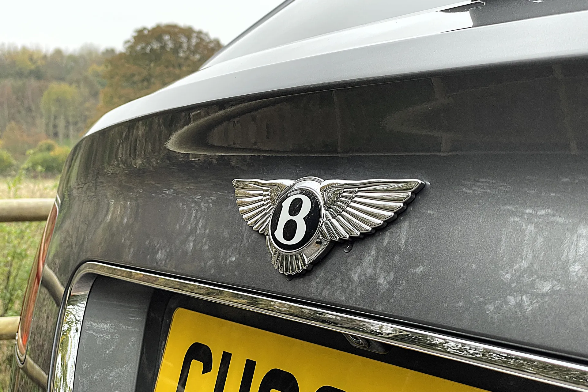 Bentley BENTAYGA thumbnail image number 13