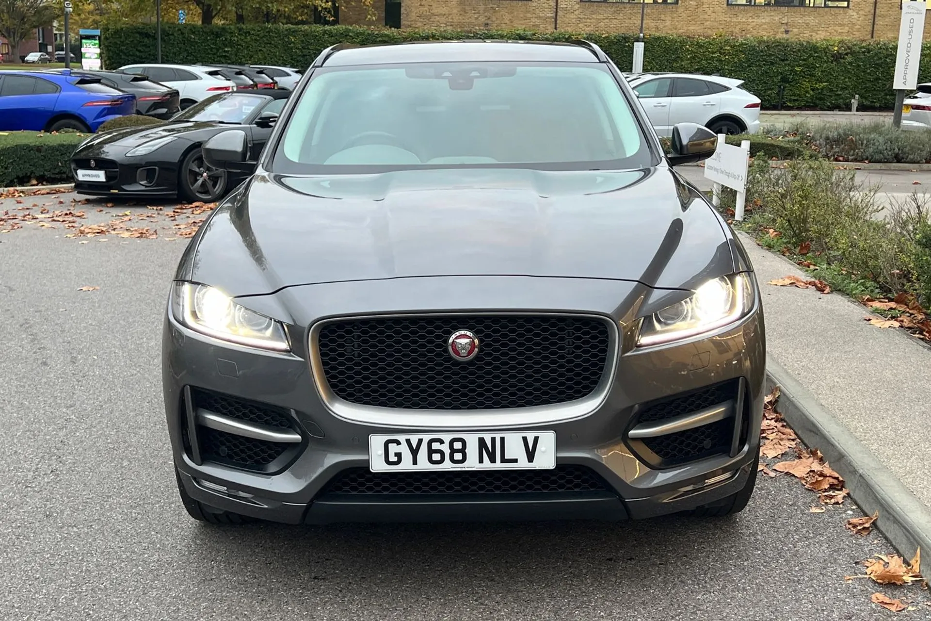 Jaguar F-PACE thumbnail image number 13