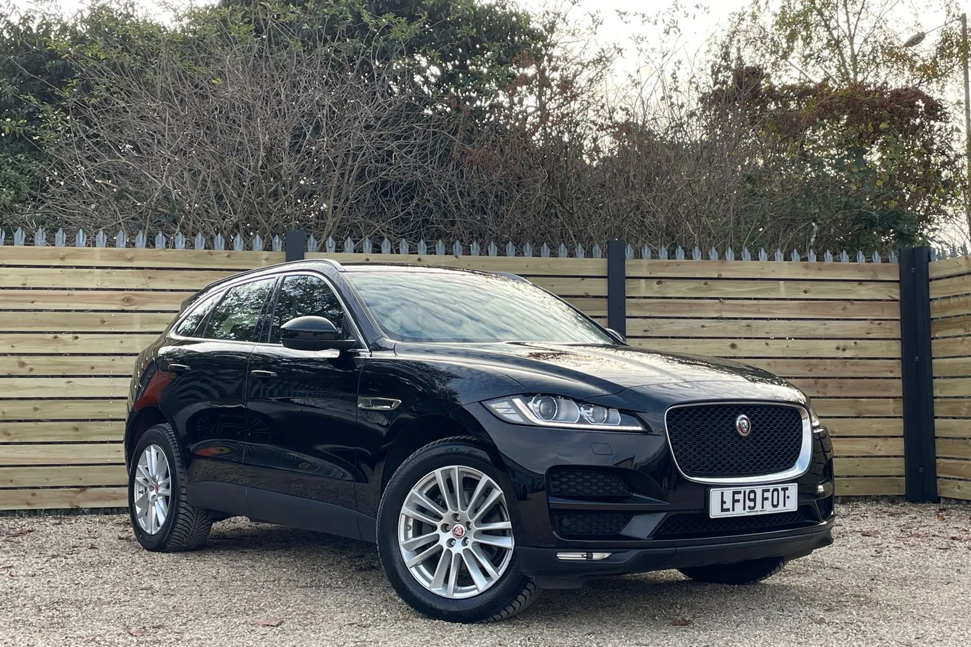 Jaguar F-PACE focused image