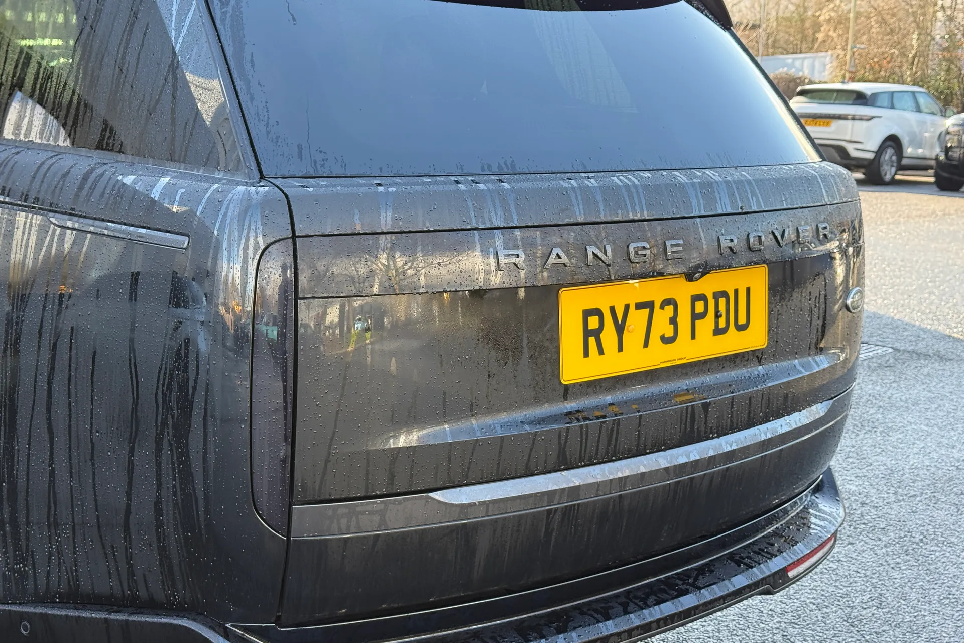 LAND ROVER RANGE ROVER thumbnail image number 50