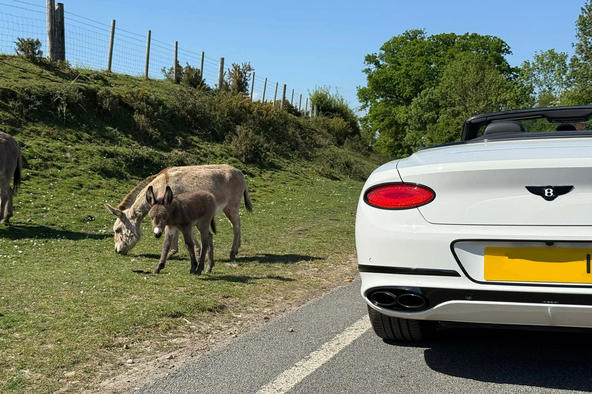 Bentley CONTINENTAL GTC thumbnail image number 39