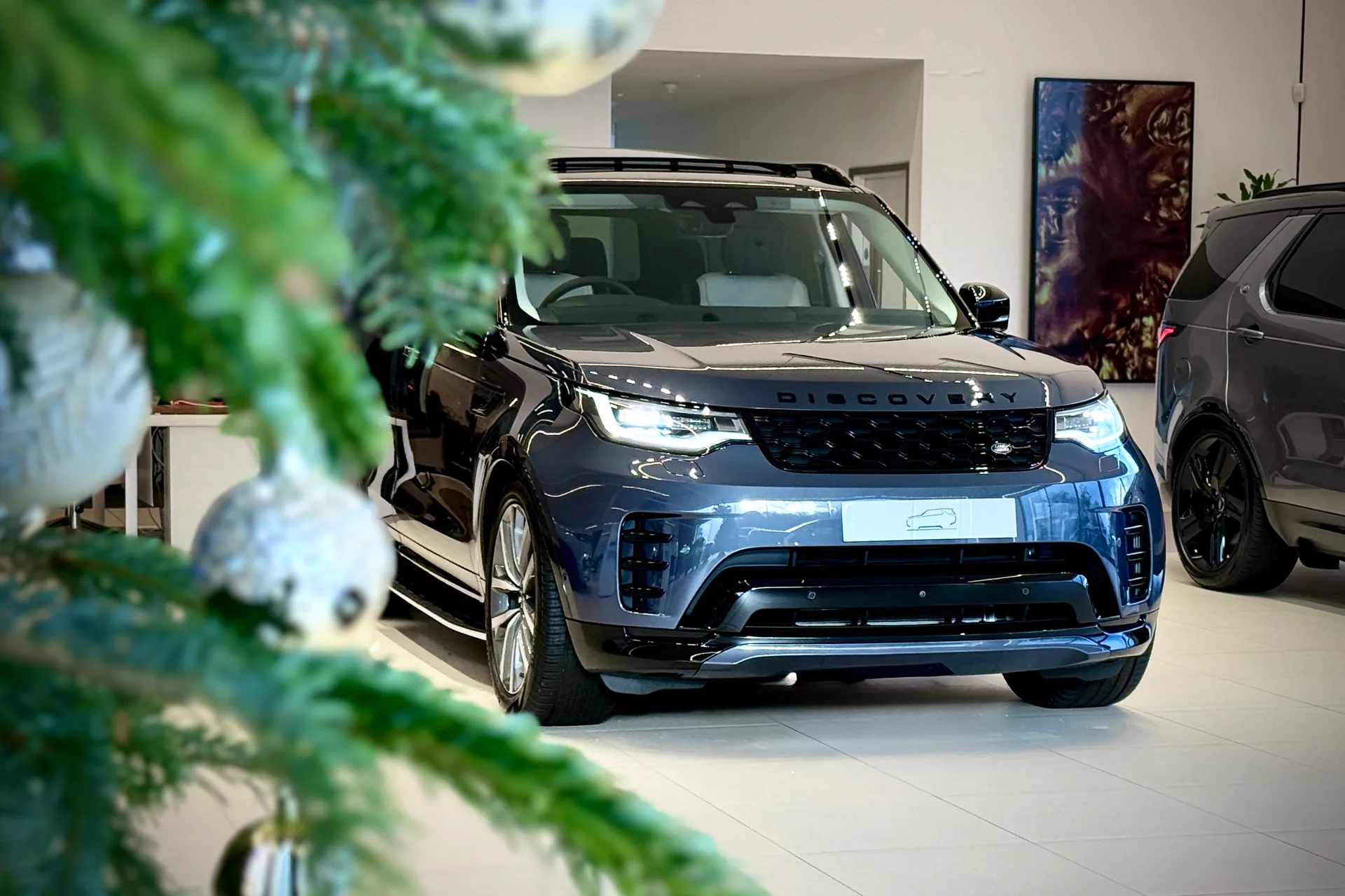 LAND ROVER DISCOVERY thumbnail image number 10