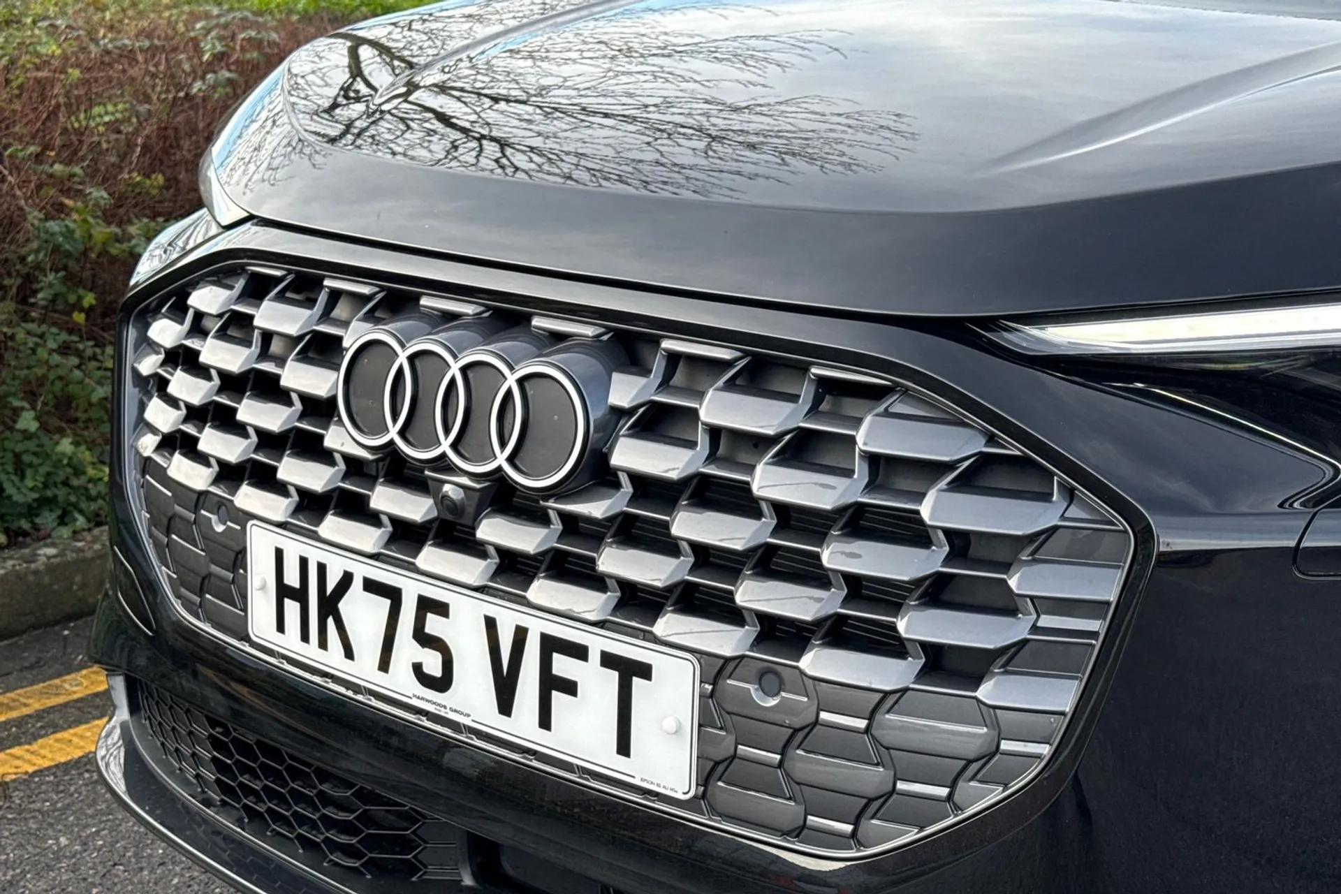 Audi Q5 thumbnail image number 5