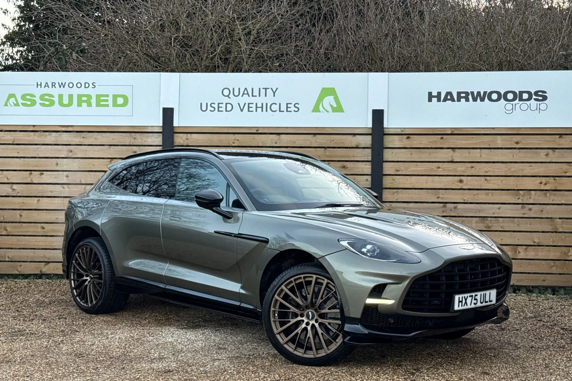 Aston Martin DBX focused image