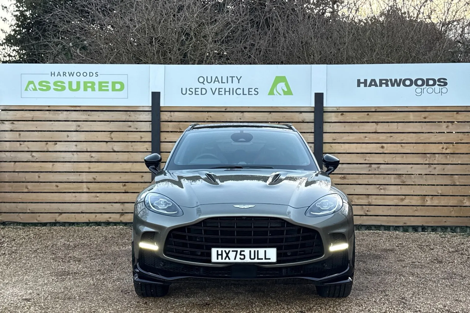 Aston Martin DBX thumbnail image number 13