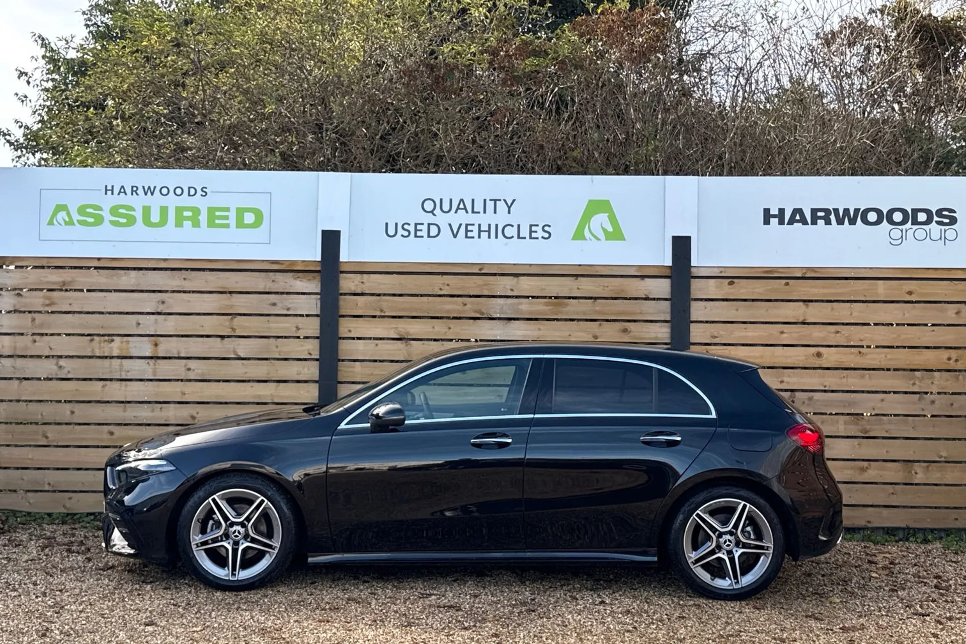 MERCEDES-BENZ A CLASS thumbnail image number 11