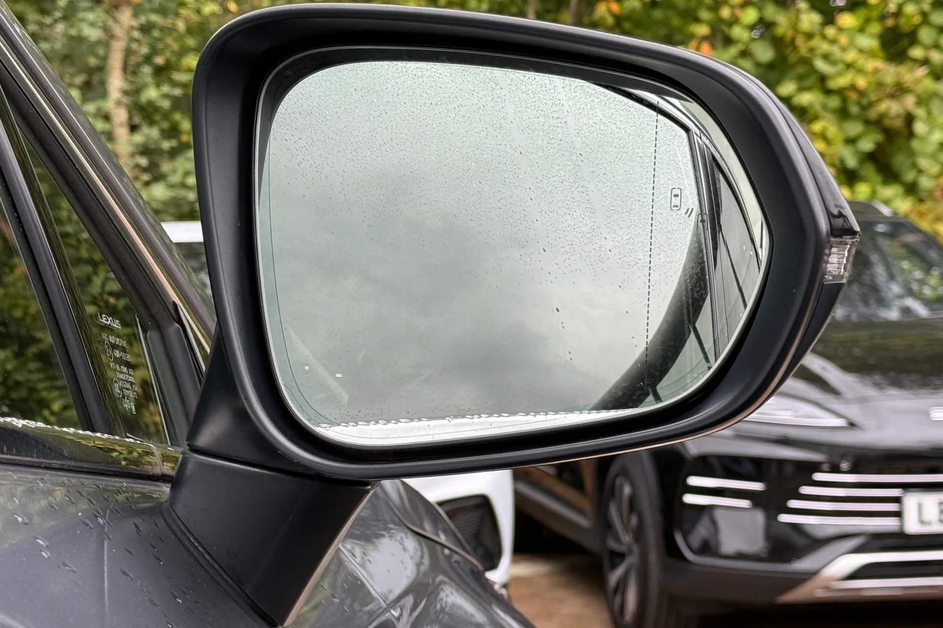 LEXUS NX thumbnail image number 63