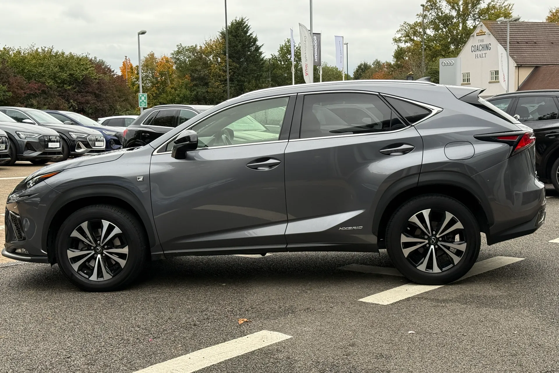LEXUS NX thumbnail image number 13