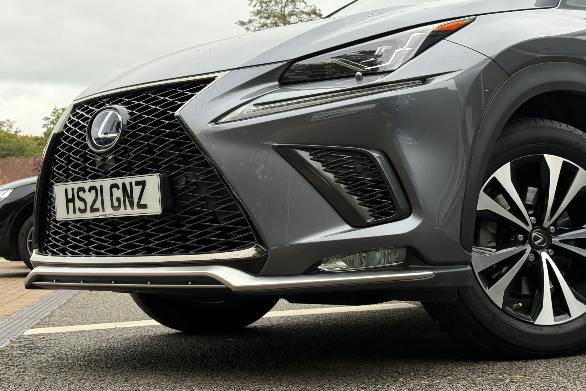 LEXUS NX thumbnail image number 51