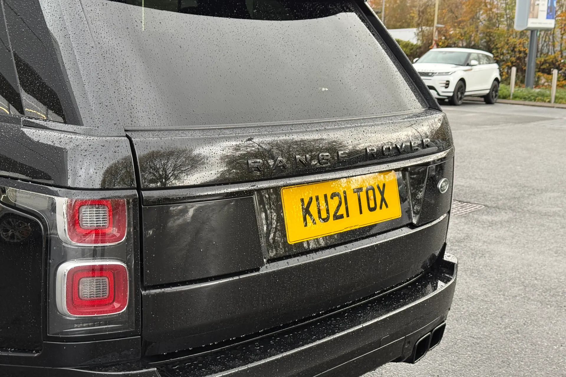 LAND ROVER RANGE ROVER thumbnail image number 45