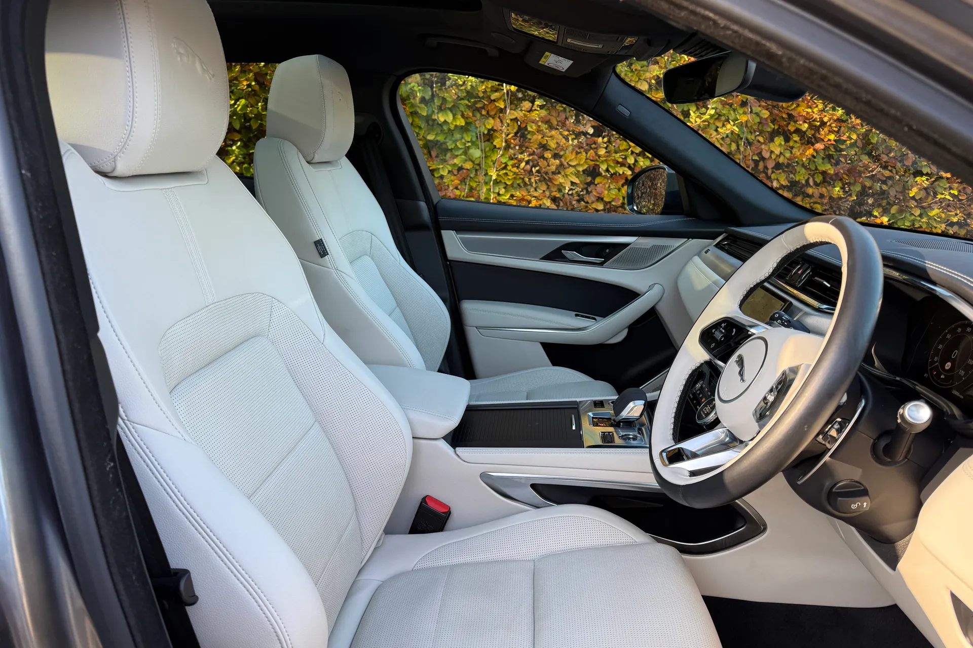 Jaguar F-PACE thumbnail image number 38