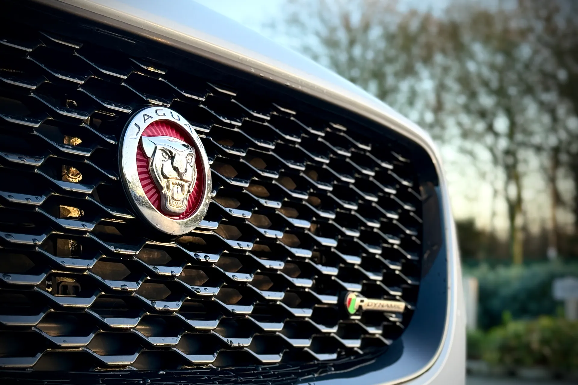 Jaguar E-PACE thumbnail image number 14