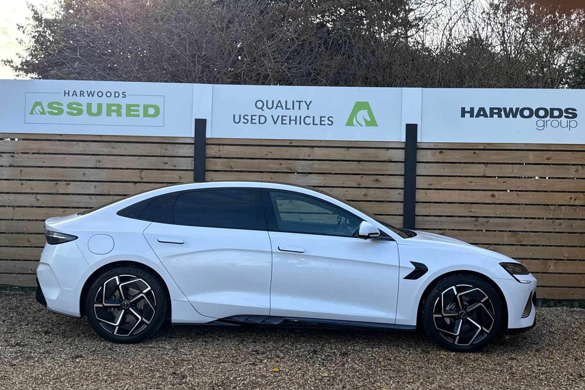 BYD SEAL thumbnail image number 2