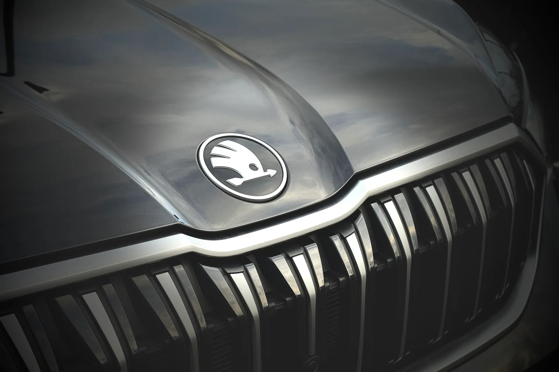 SKODA KODIAQ thumbnail image number 13