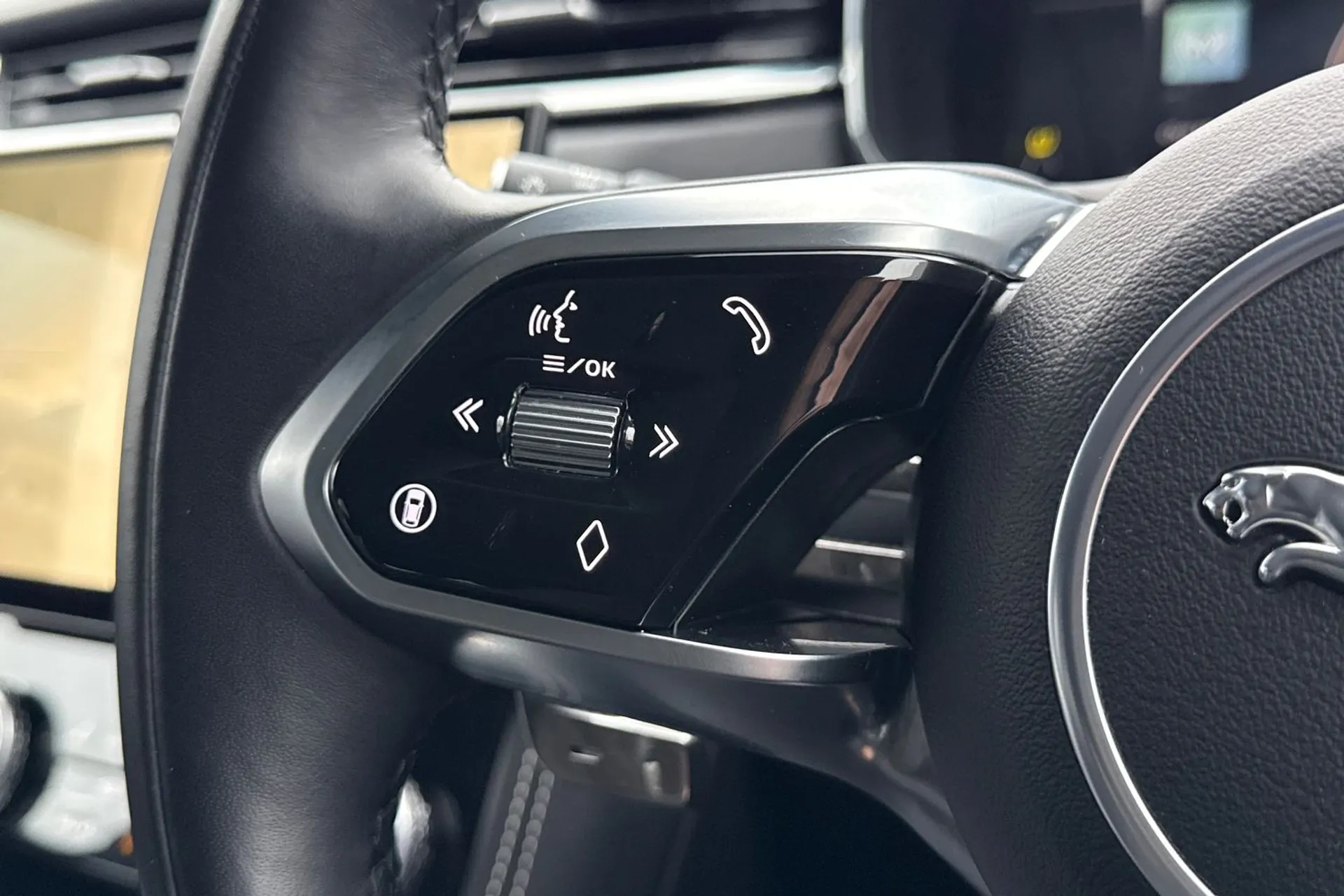 Jaguar F-PACE thumbnail image number 49