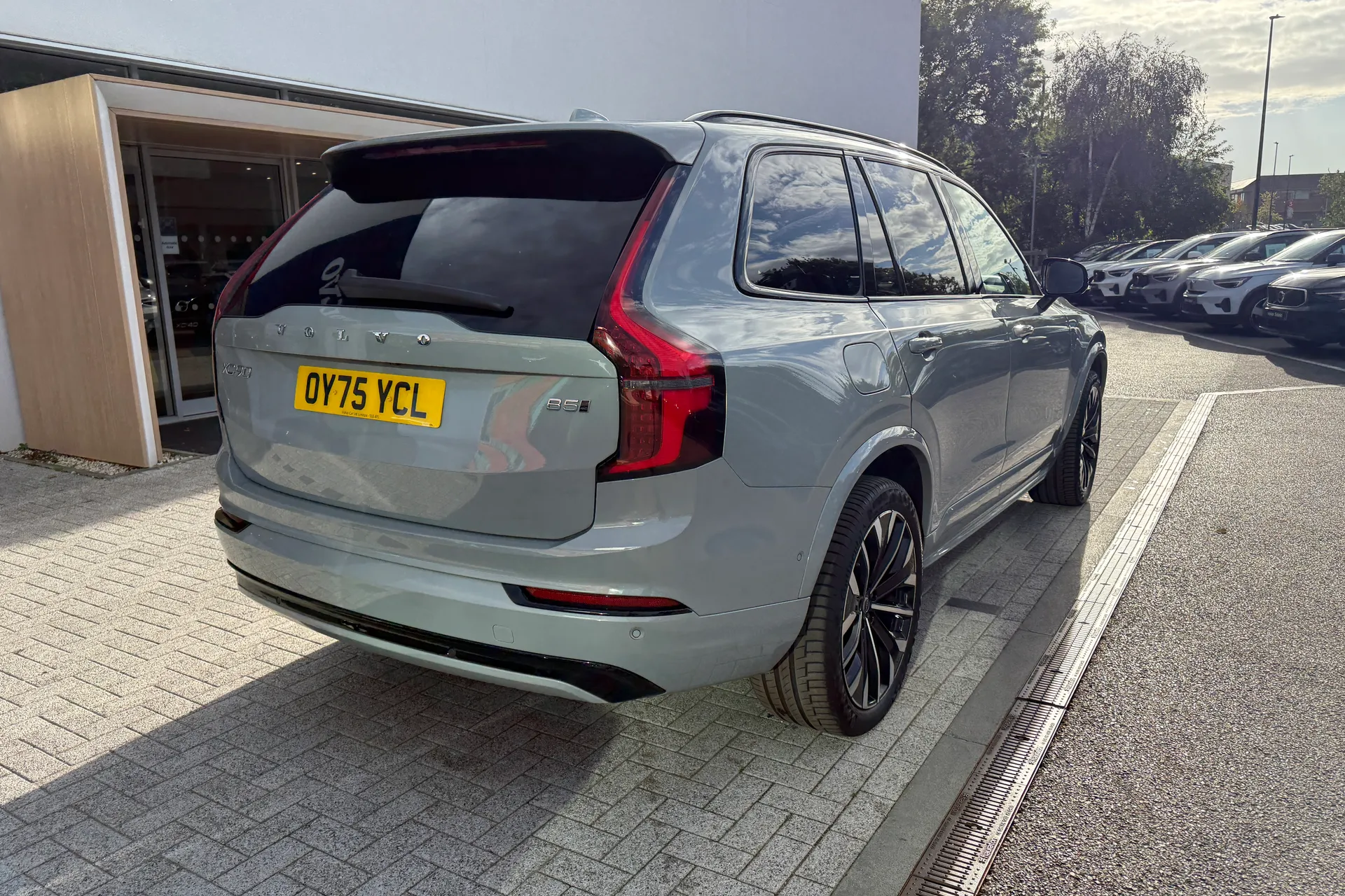 Volvo XC90 thumbnail image number 11