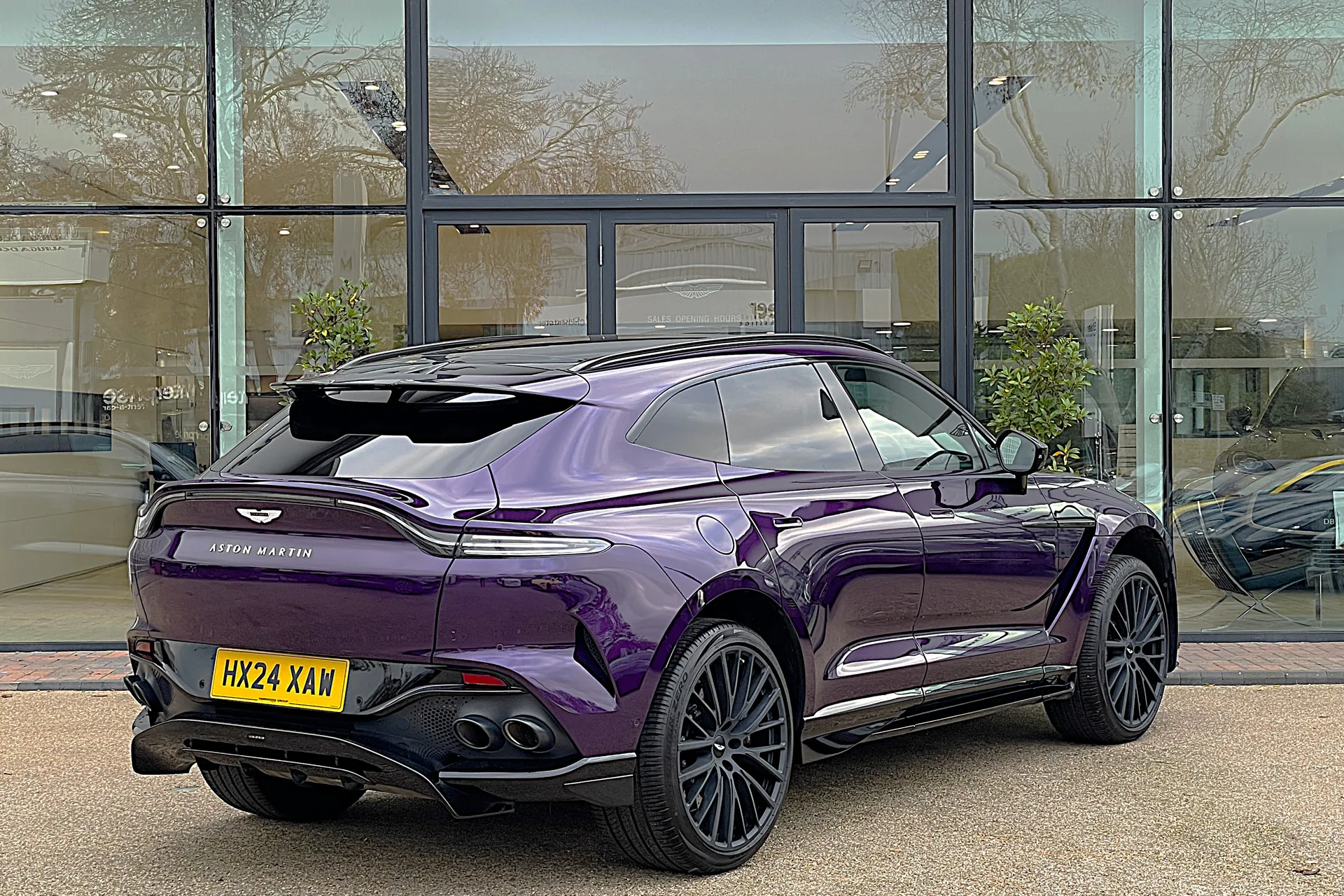 Aston Martin DBX thumbnail image number 14