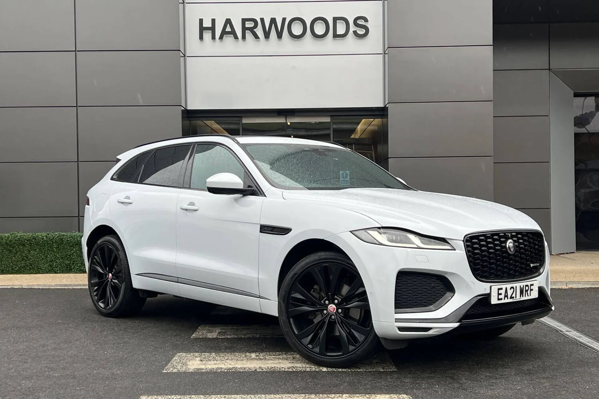 Jaguar F-PACE focused image