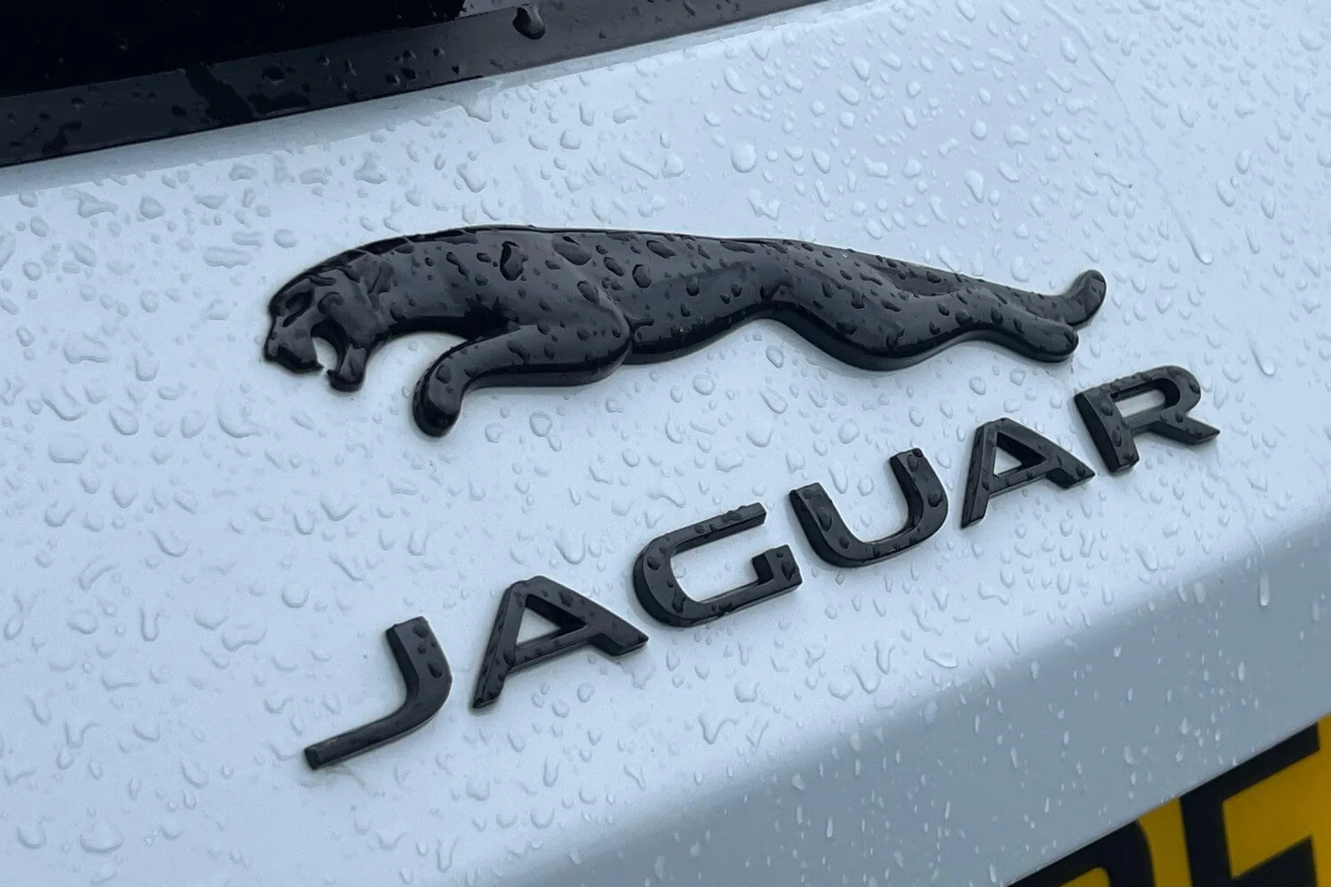 Jaguar F-PACE thumbnail image number 58