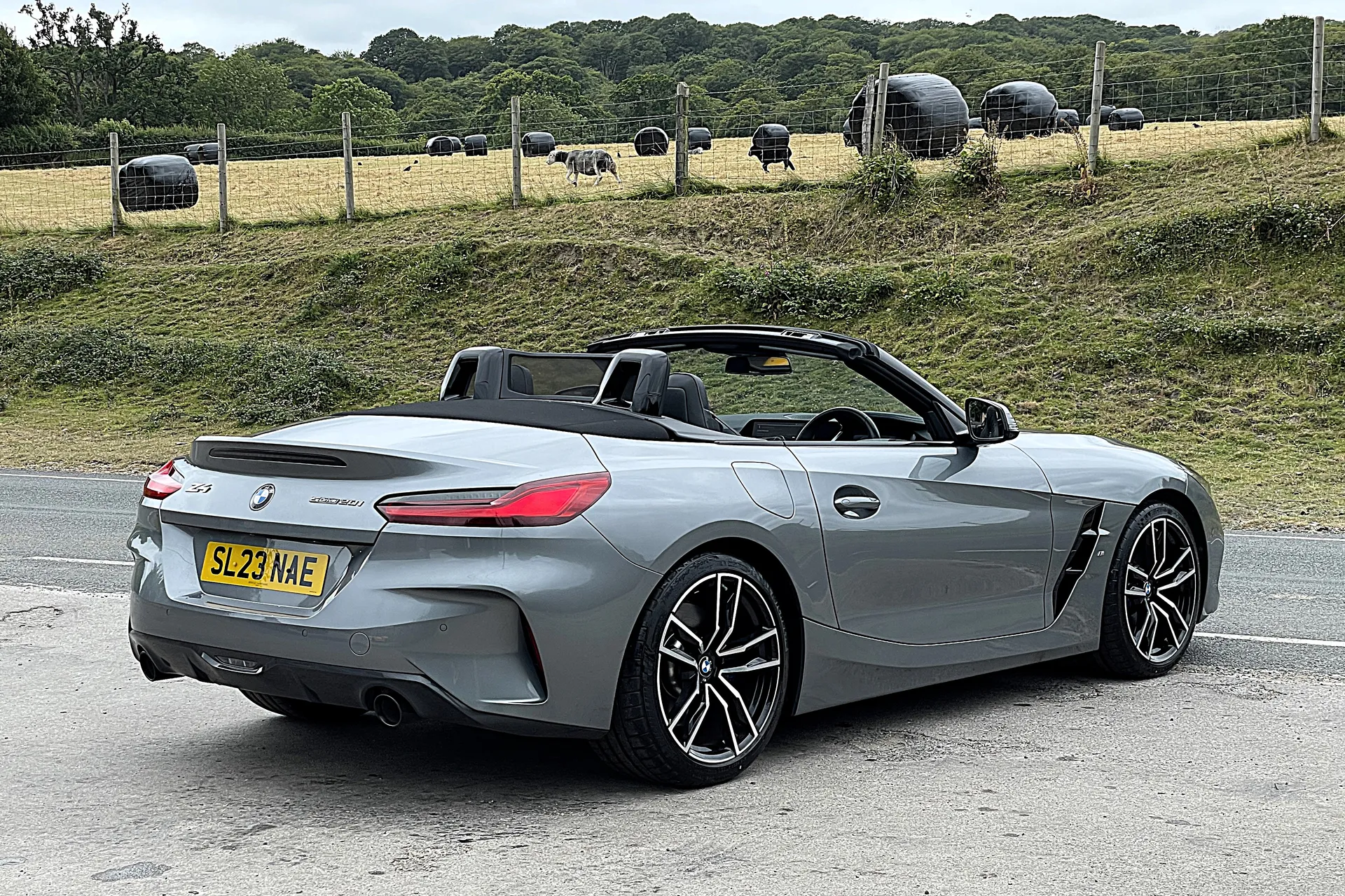 BMW Z4 thumbnail image number 8