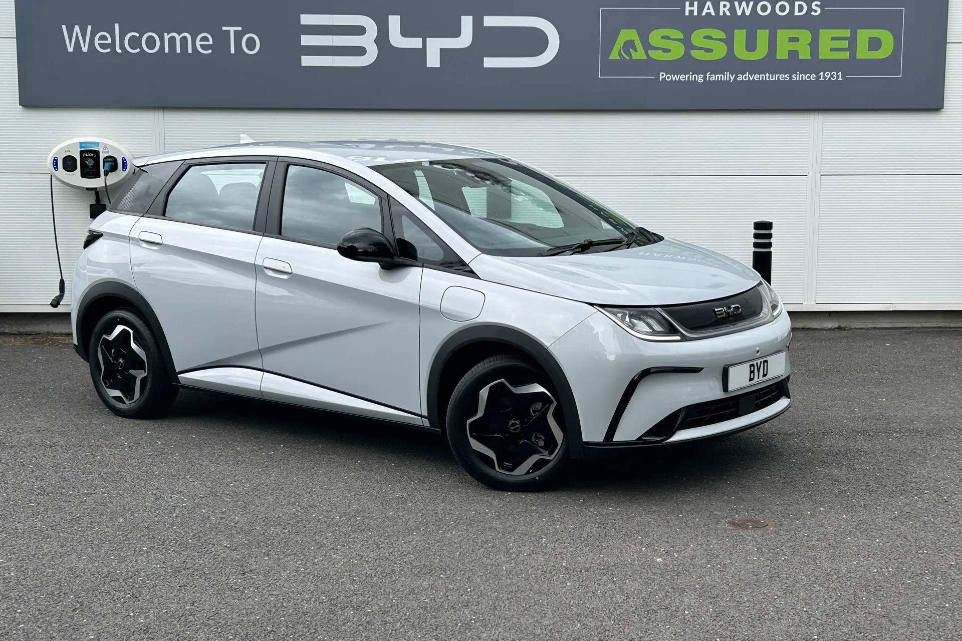 BYD DOLPHIN focused image