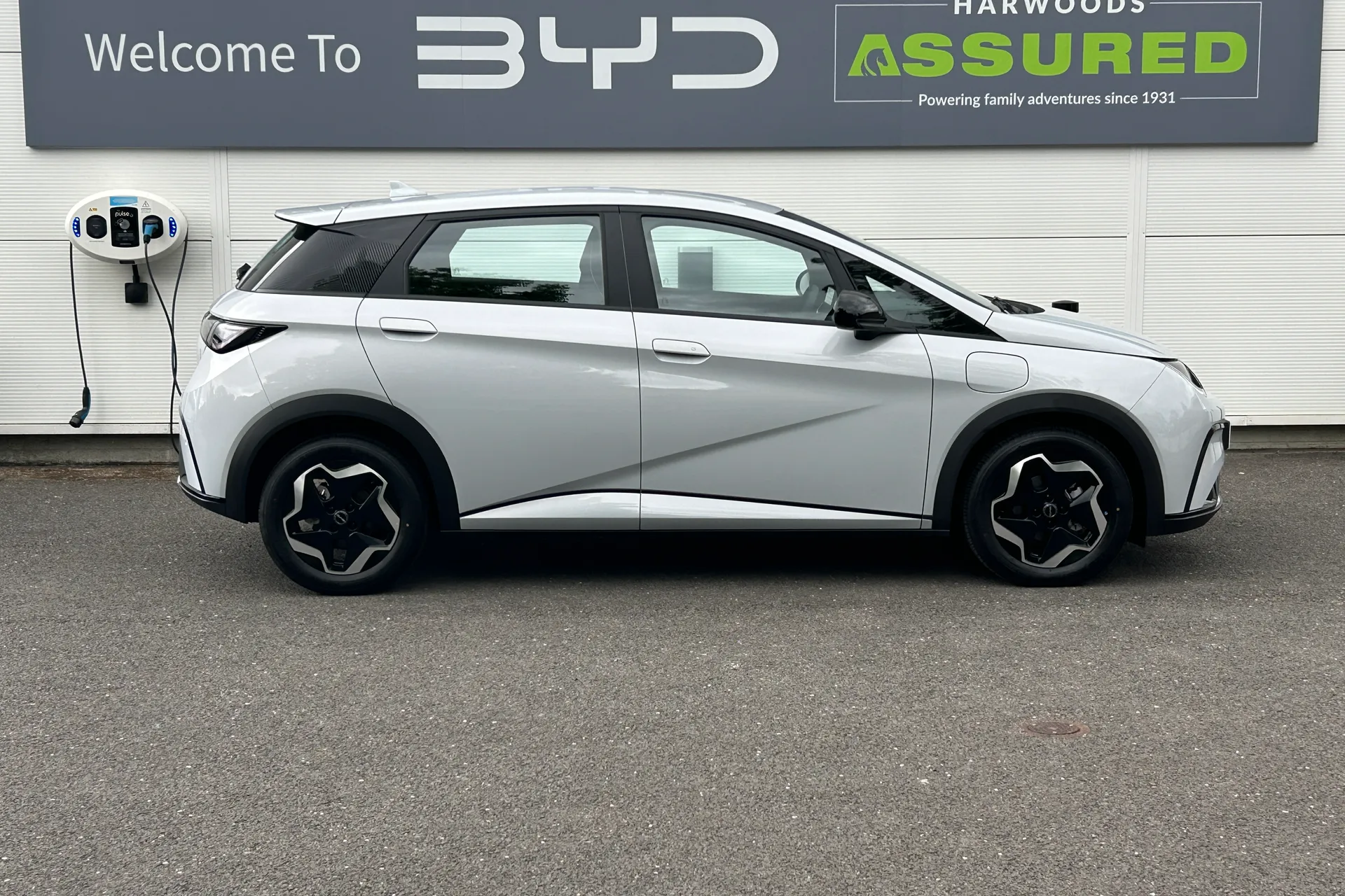 BYD DOLPHIN thumbnail image number 2