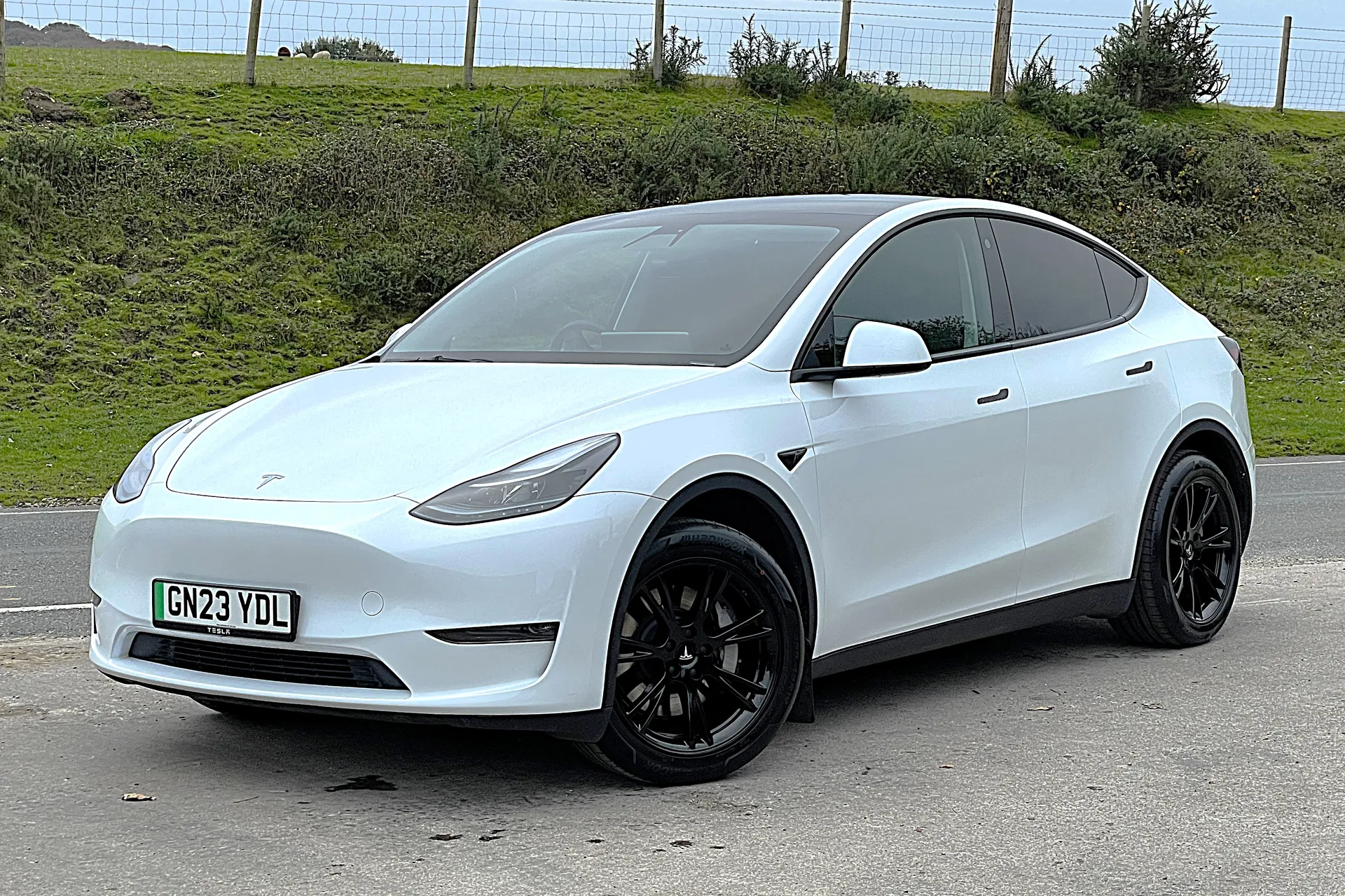 TESLA MODEL Y thumbnail image number 4