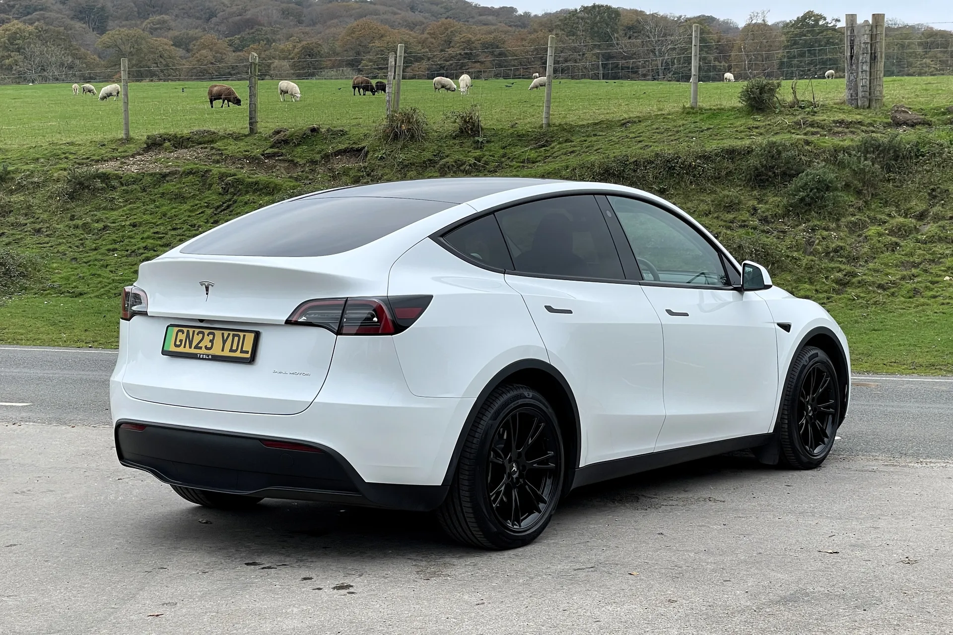 TESLA MODEL Y thumbnail image number 12