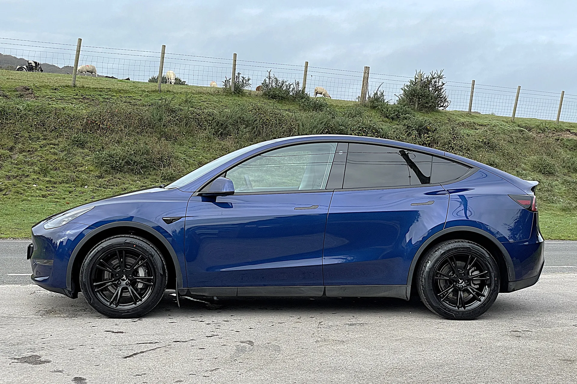 TESLA MODEL Y thumbnail image number 55