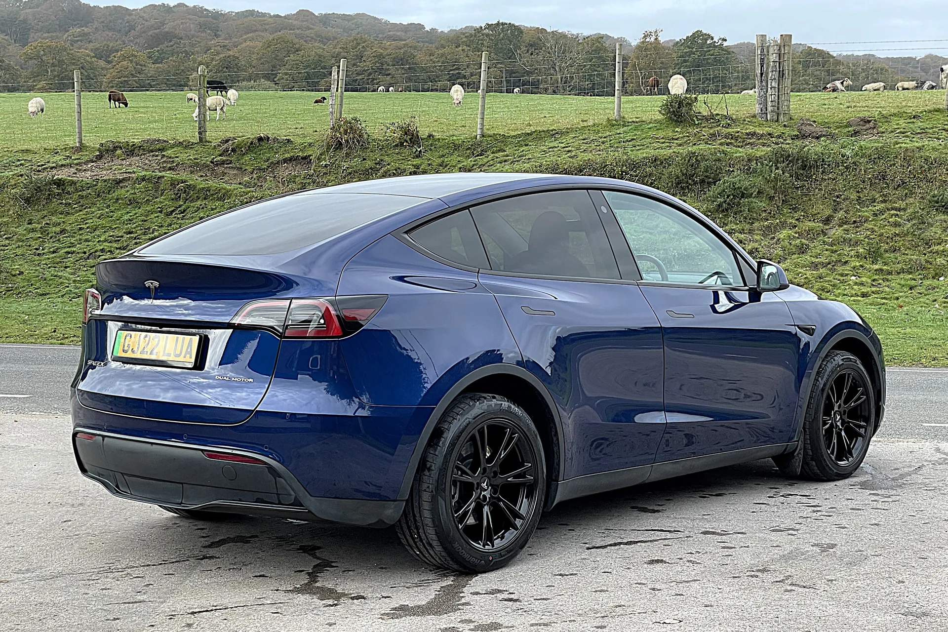 TESLA MODEL Y thumbnail image number 9