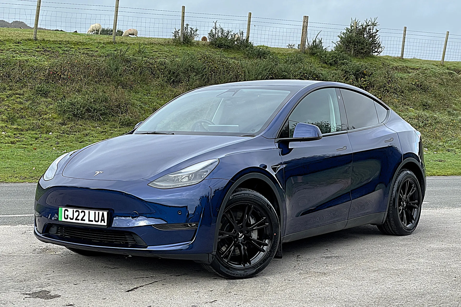 TESLA MODEL Y thumbnail image number 6