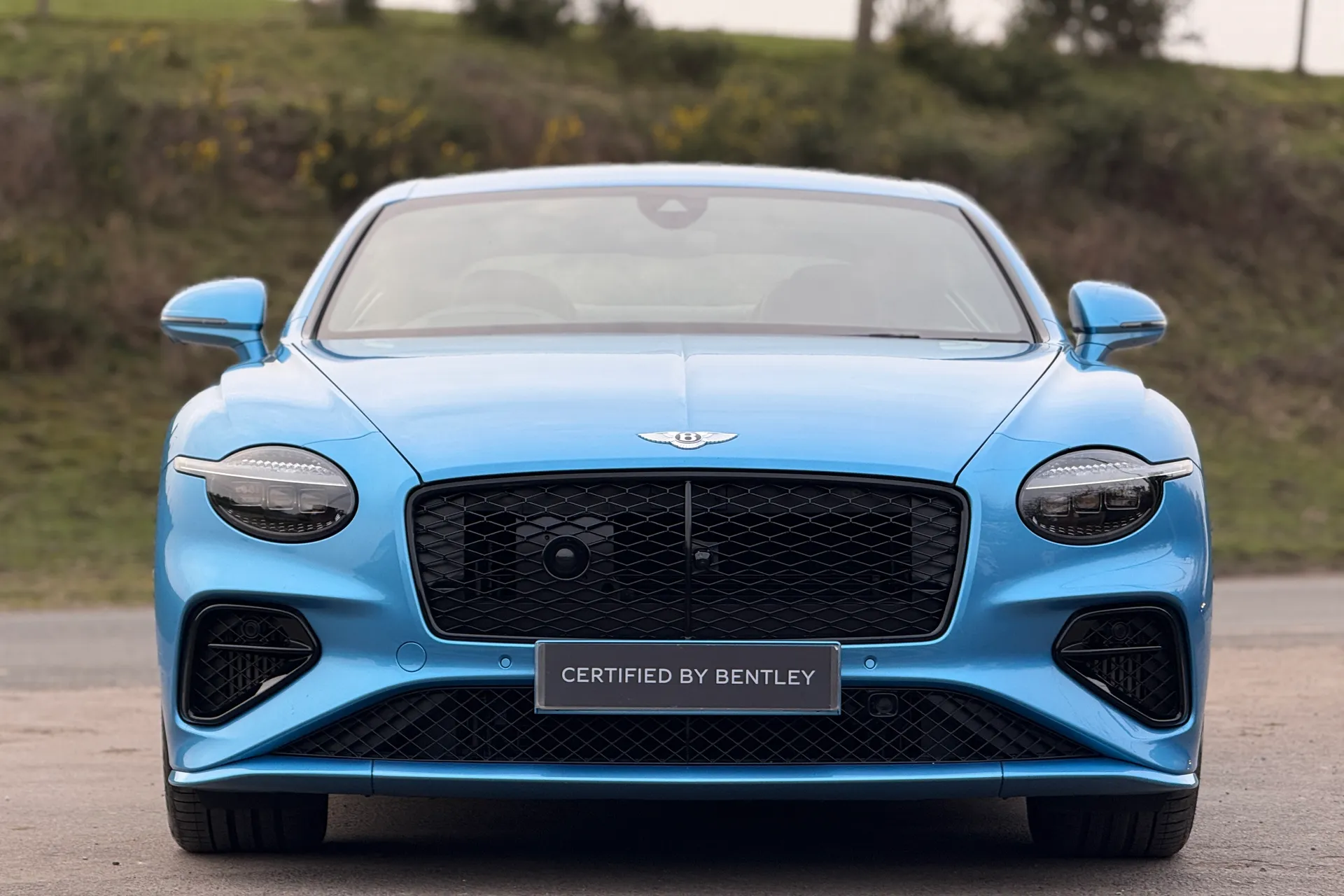 Bentley CONTINENTAL thumbnail image number 11