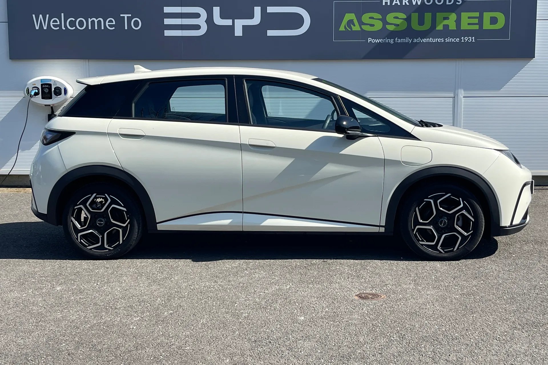 BYD DOLPHIN thumbnail image number 2