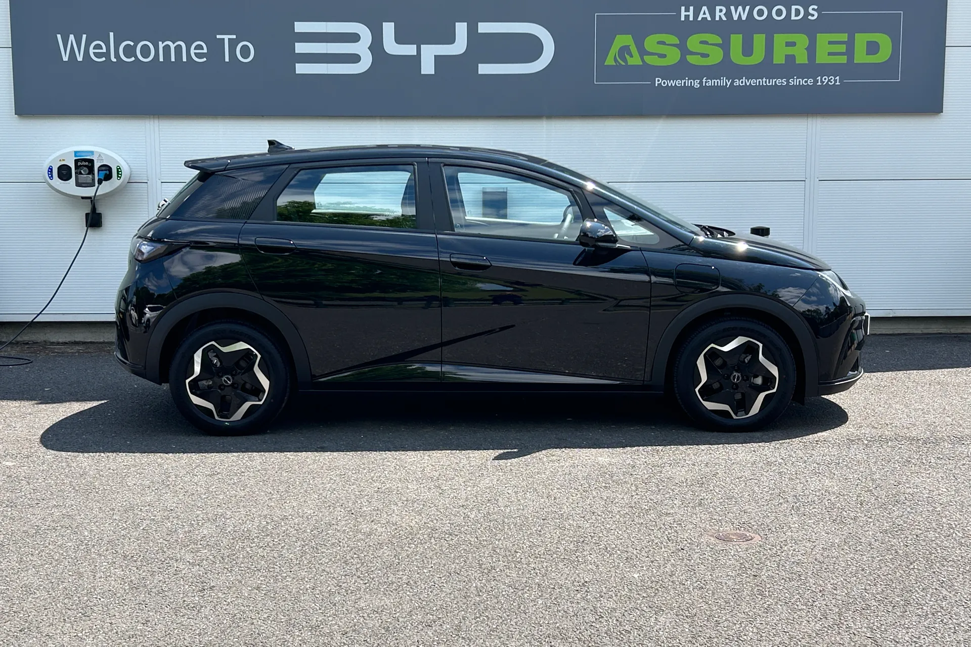 BYD DOLPHIN thumbnail image number 2