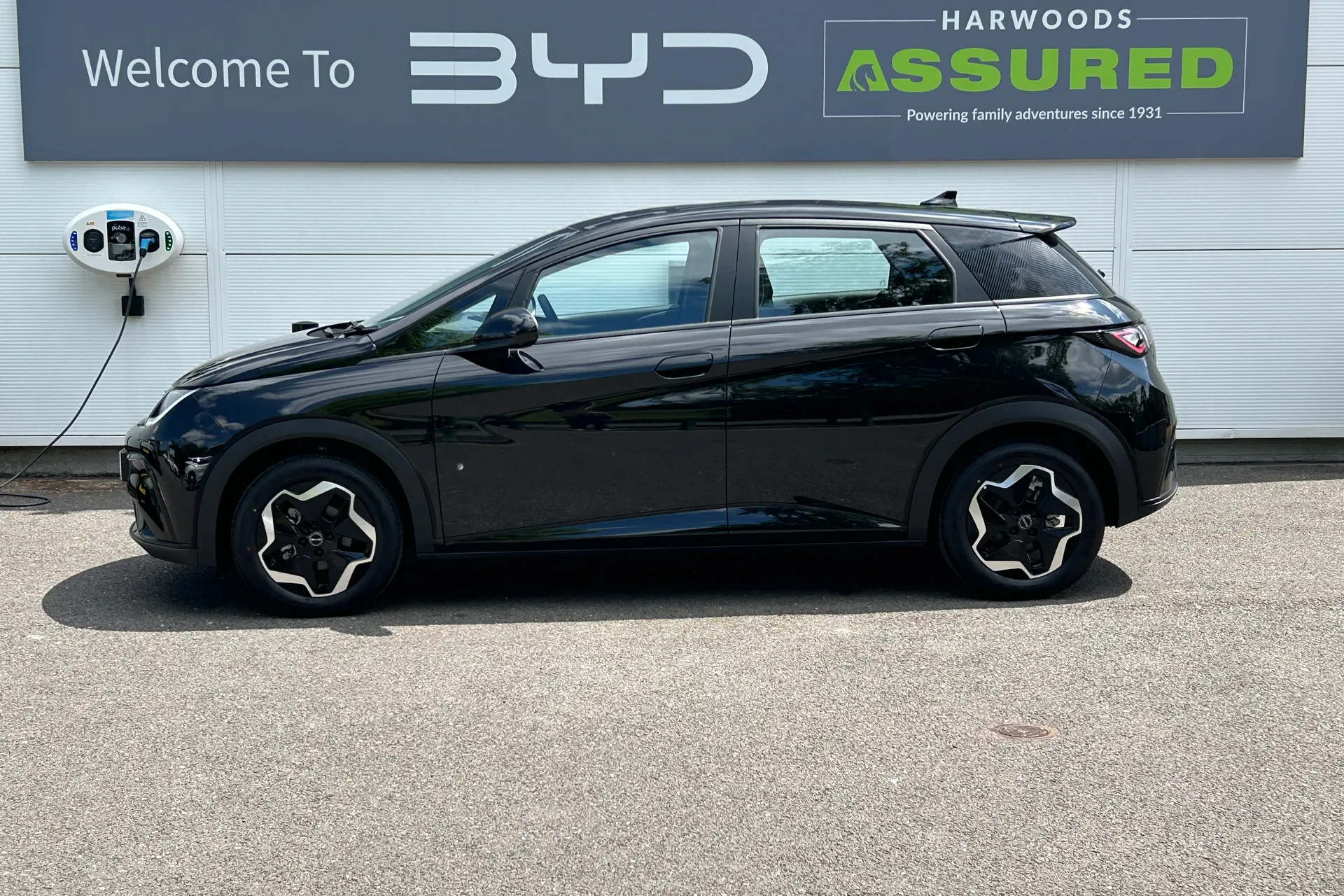 BYD DOLPHIN thumbnail image number 13