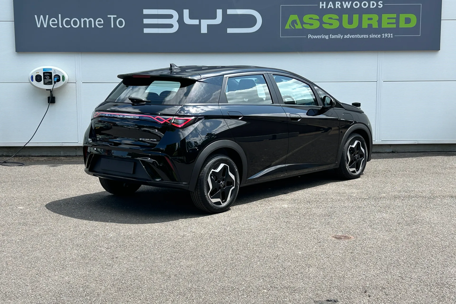 BYD DOLPHIN thumbnail image number 6