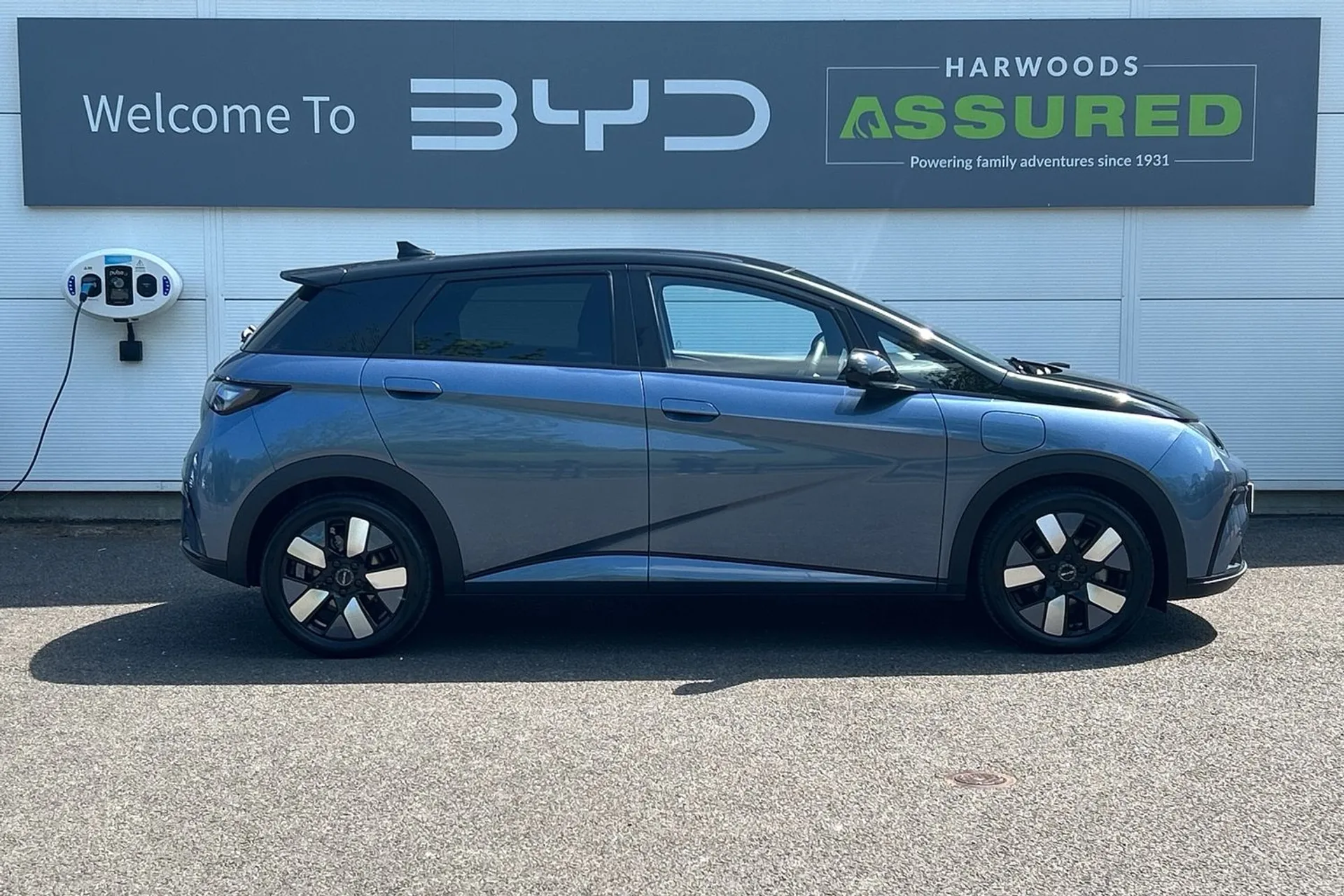 BYD DOLPHIN thumbnail image number 2