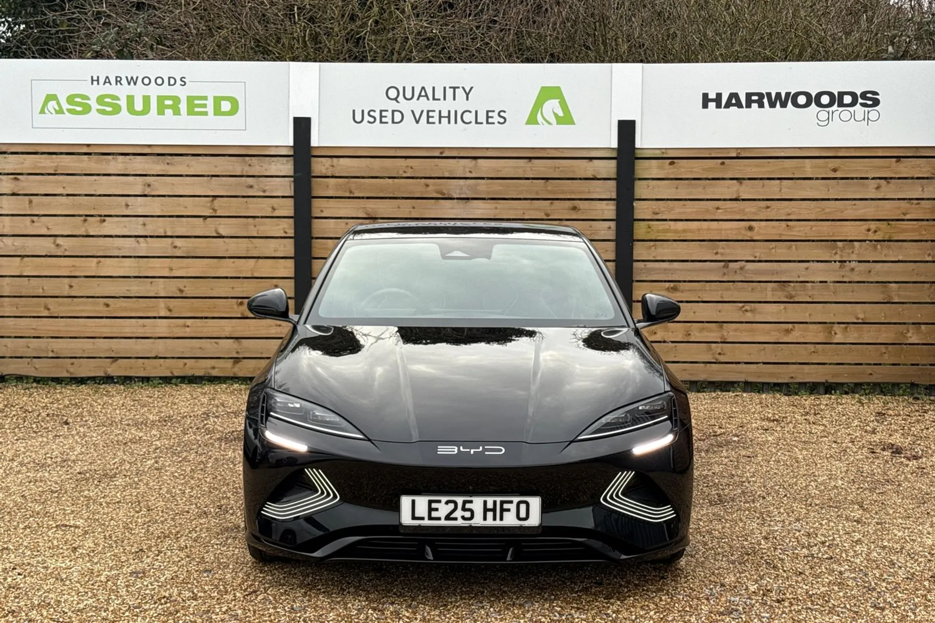 BYD SEAL thumbnail image number 13