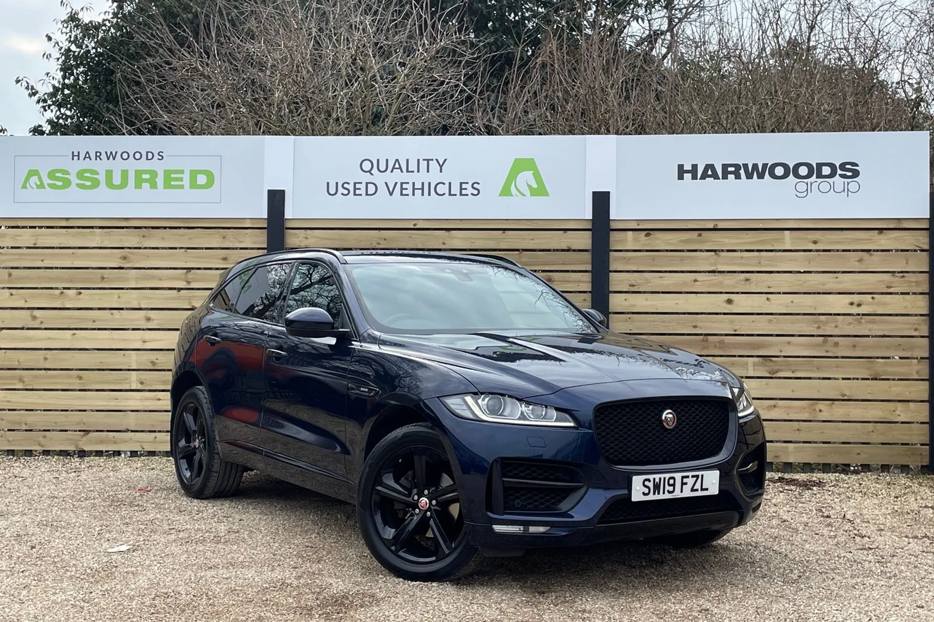 Jaguar F-PACE focused image