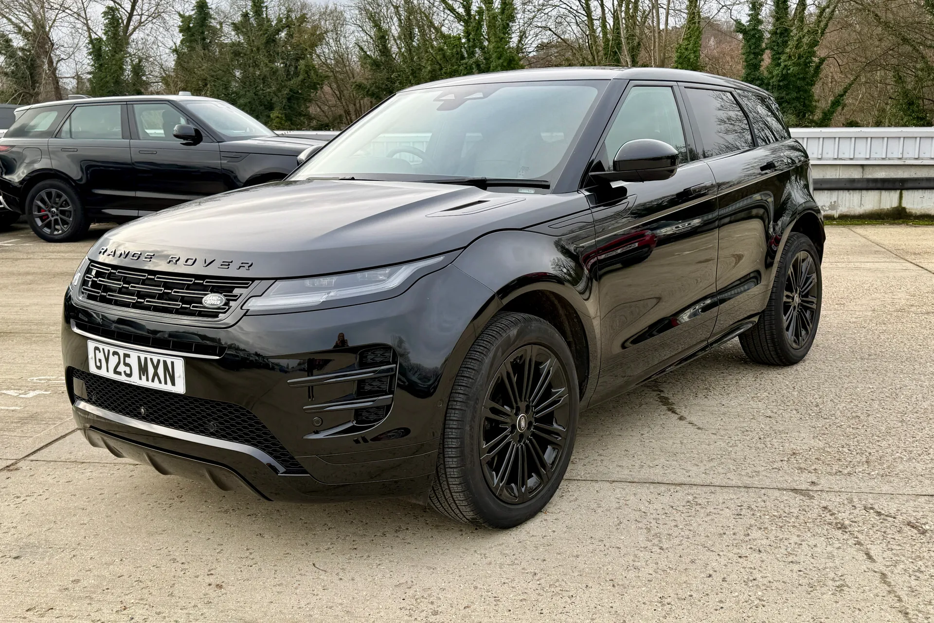LAND ROVER RANGE ROVER EVOQUE thumbnail image number 14