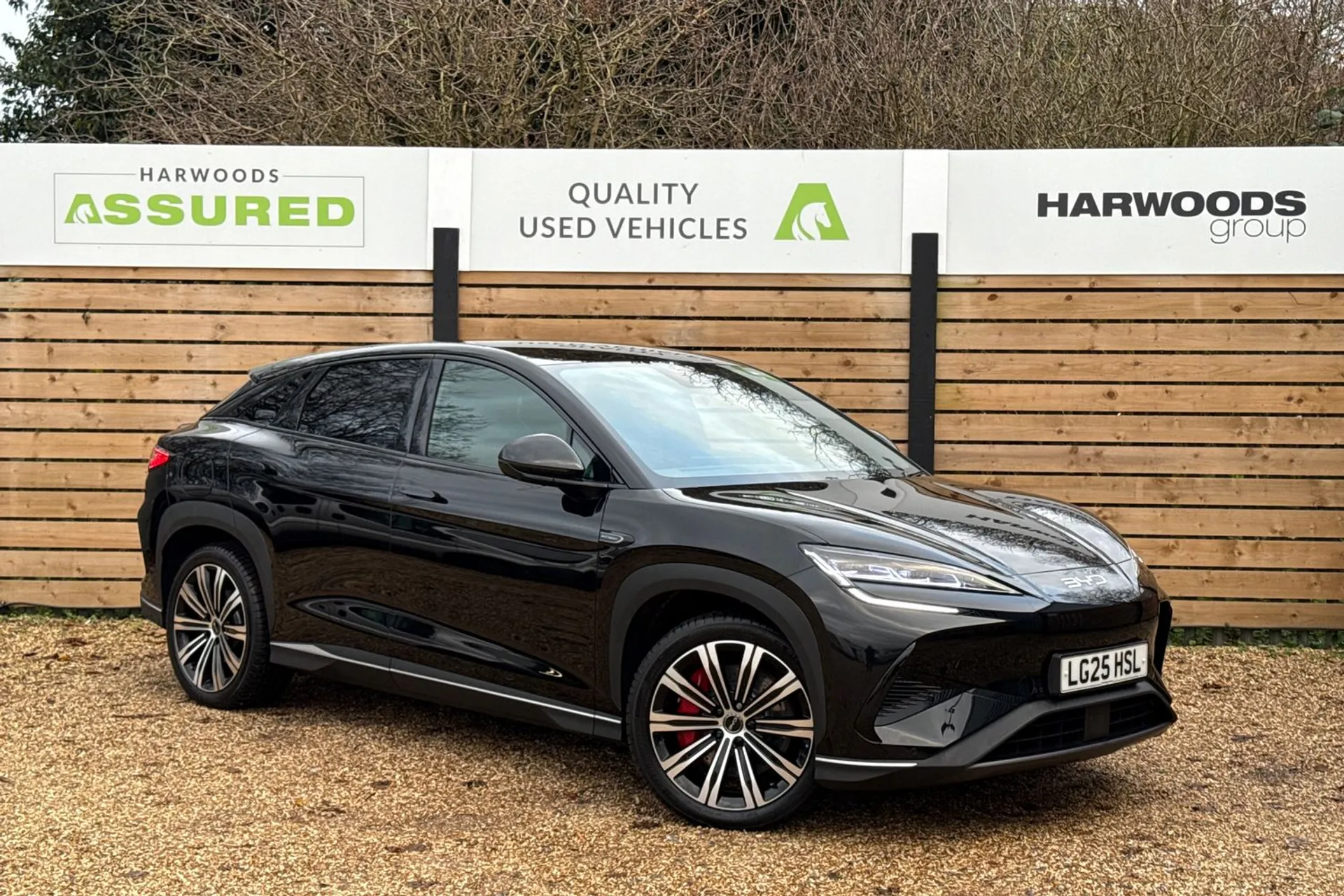 BYD SEALION 7 focused image