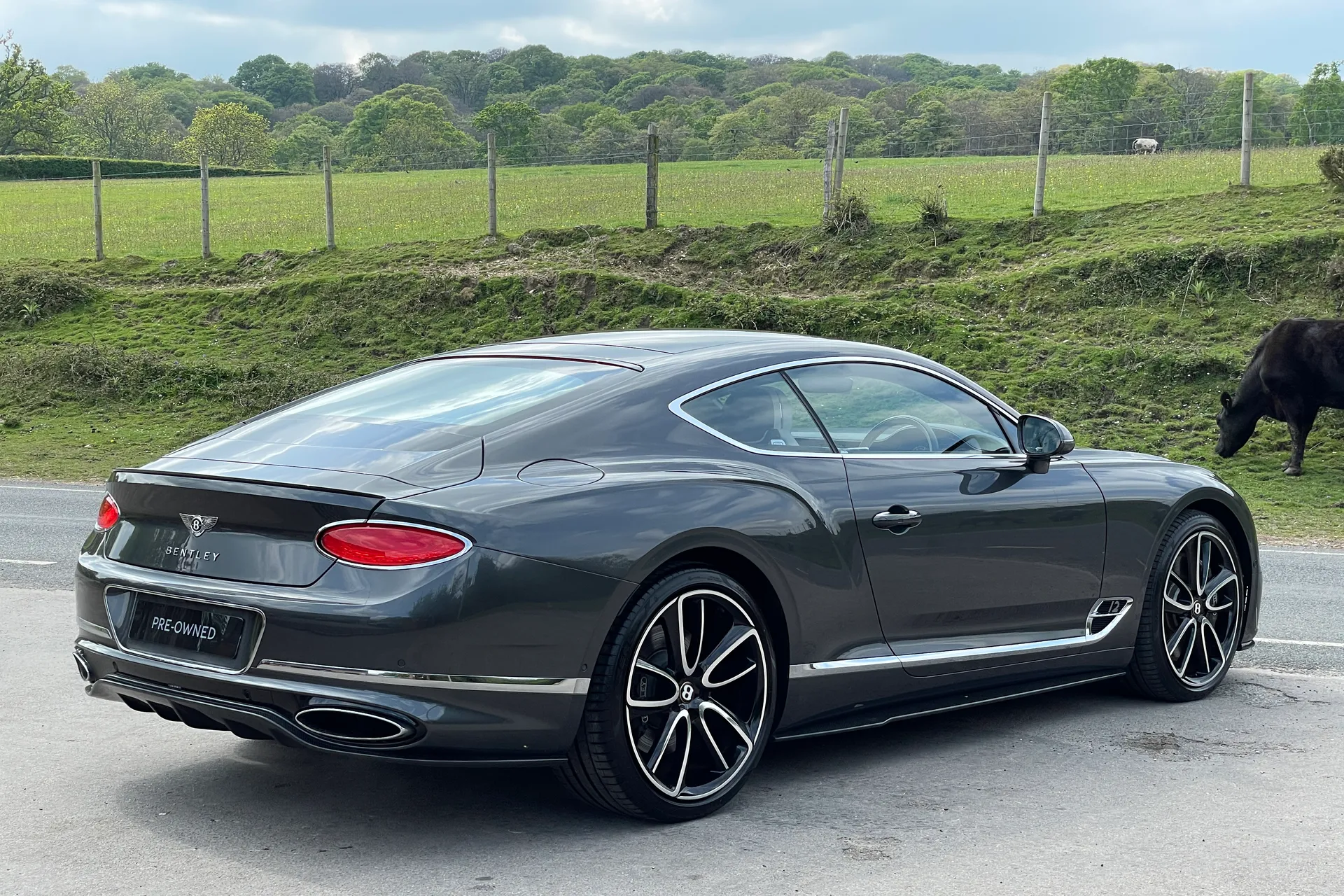 Bentley CONTINENTAL GT thumbnail image number 10