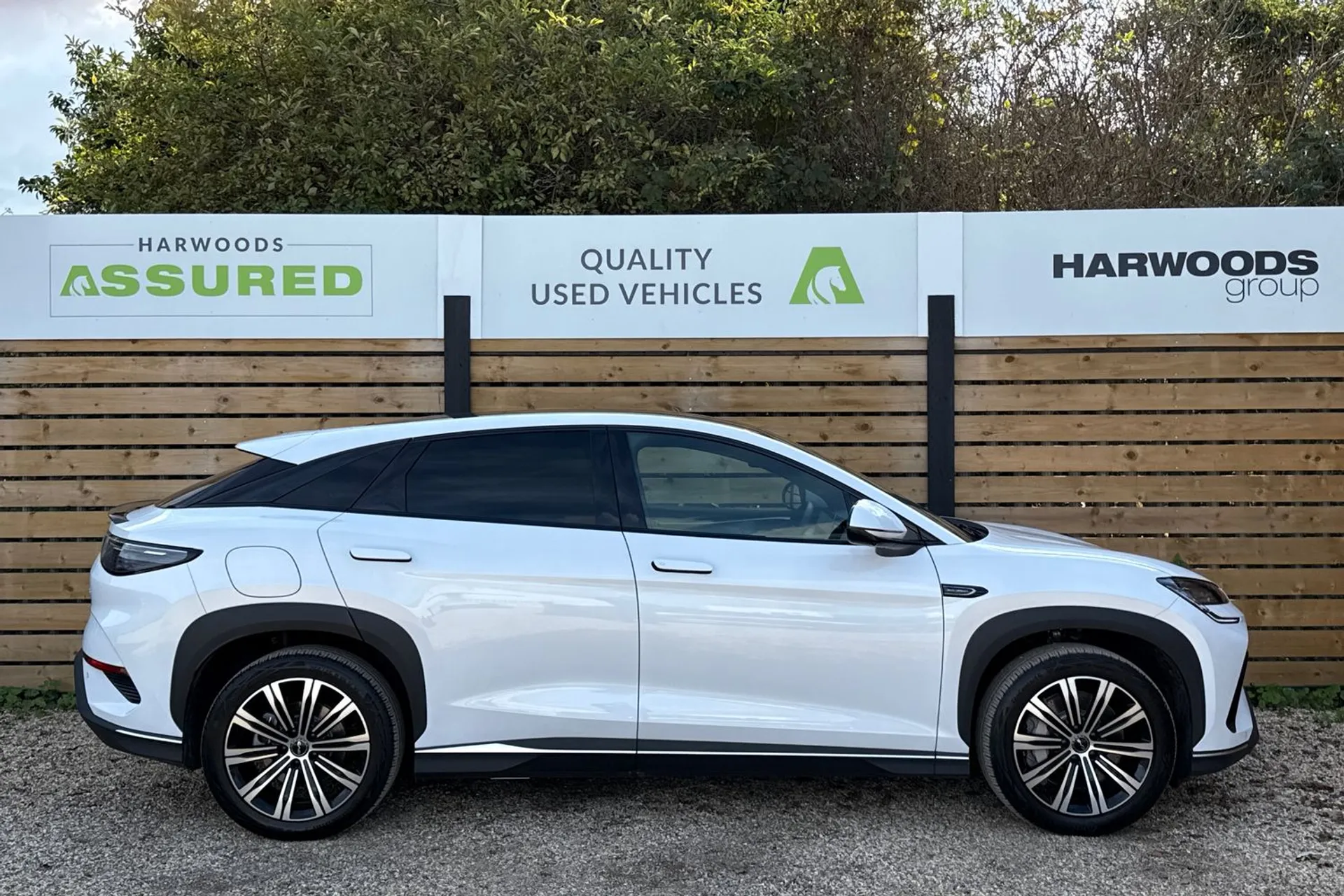 BYD SEALION 7 thumbnail image number 2