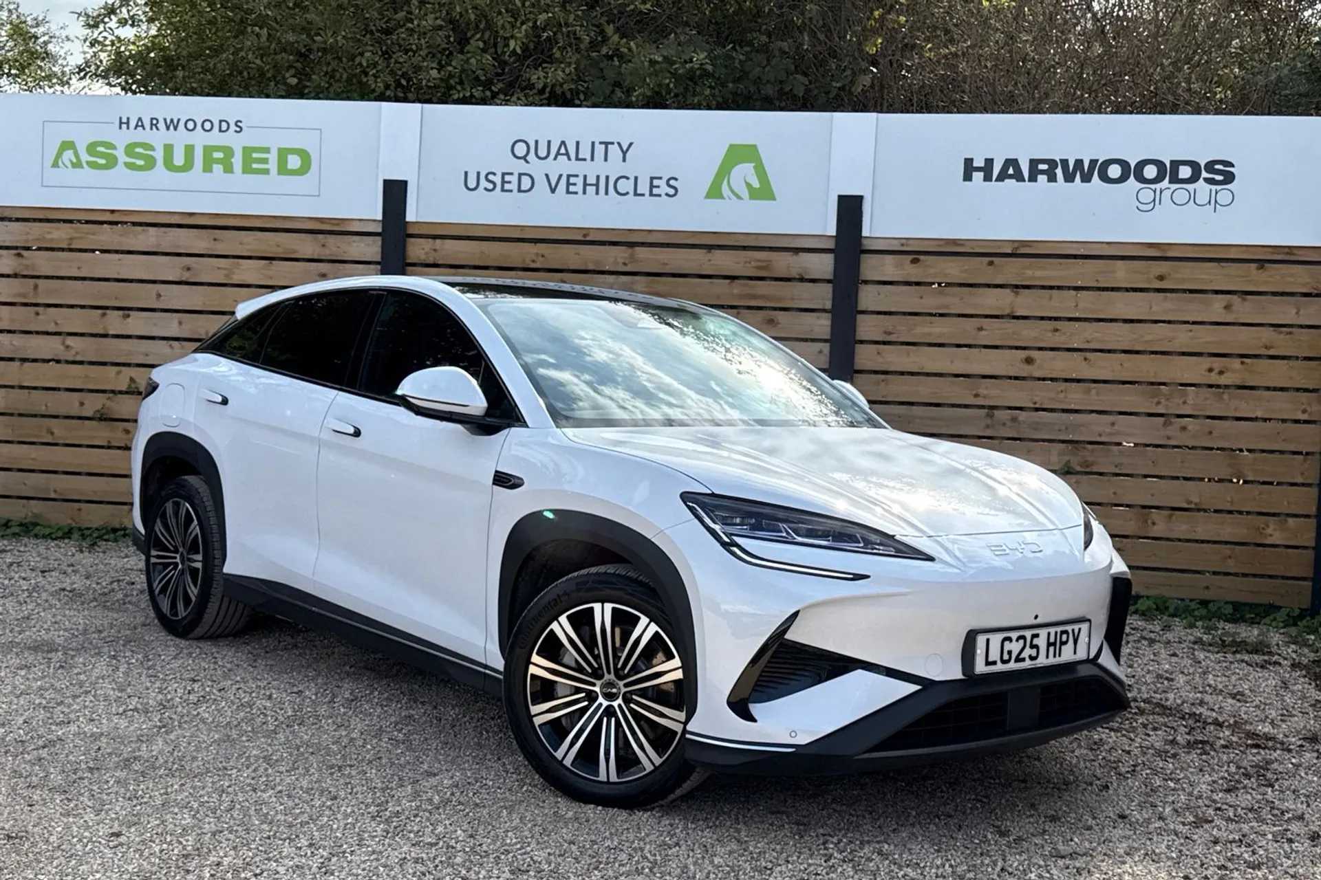 BYD SEALION 7 focused image