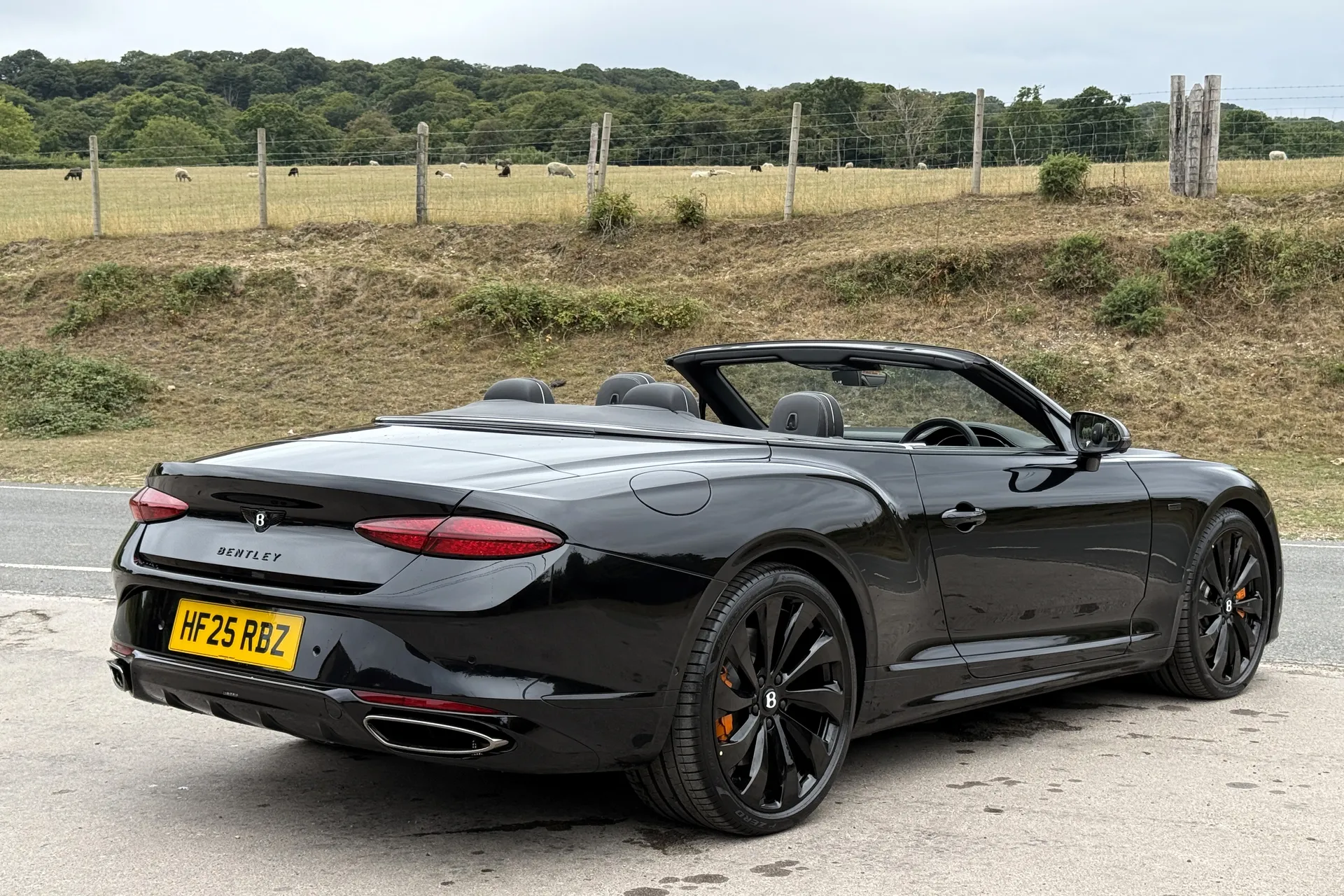 Bentley CONTINENTAL GTC thumbnail image number 8