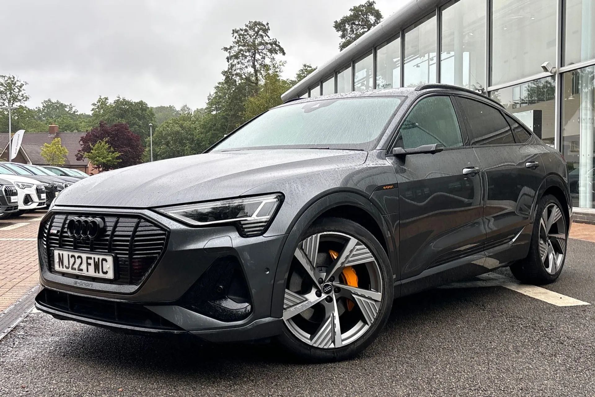 Audi e-tron thumbnail image number 12