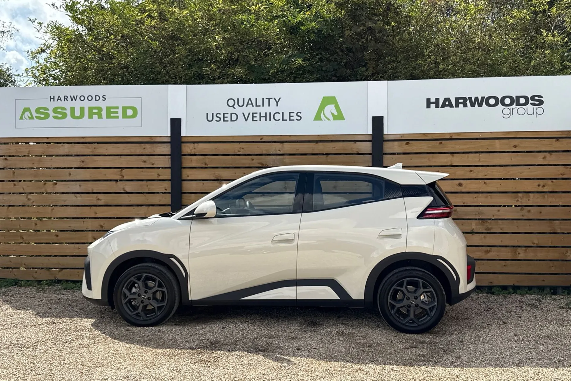 BYD DOLPHIN SURF thumbnail image number 11