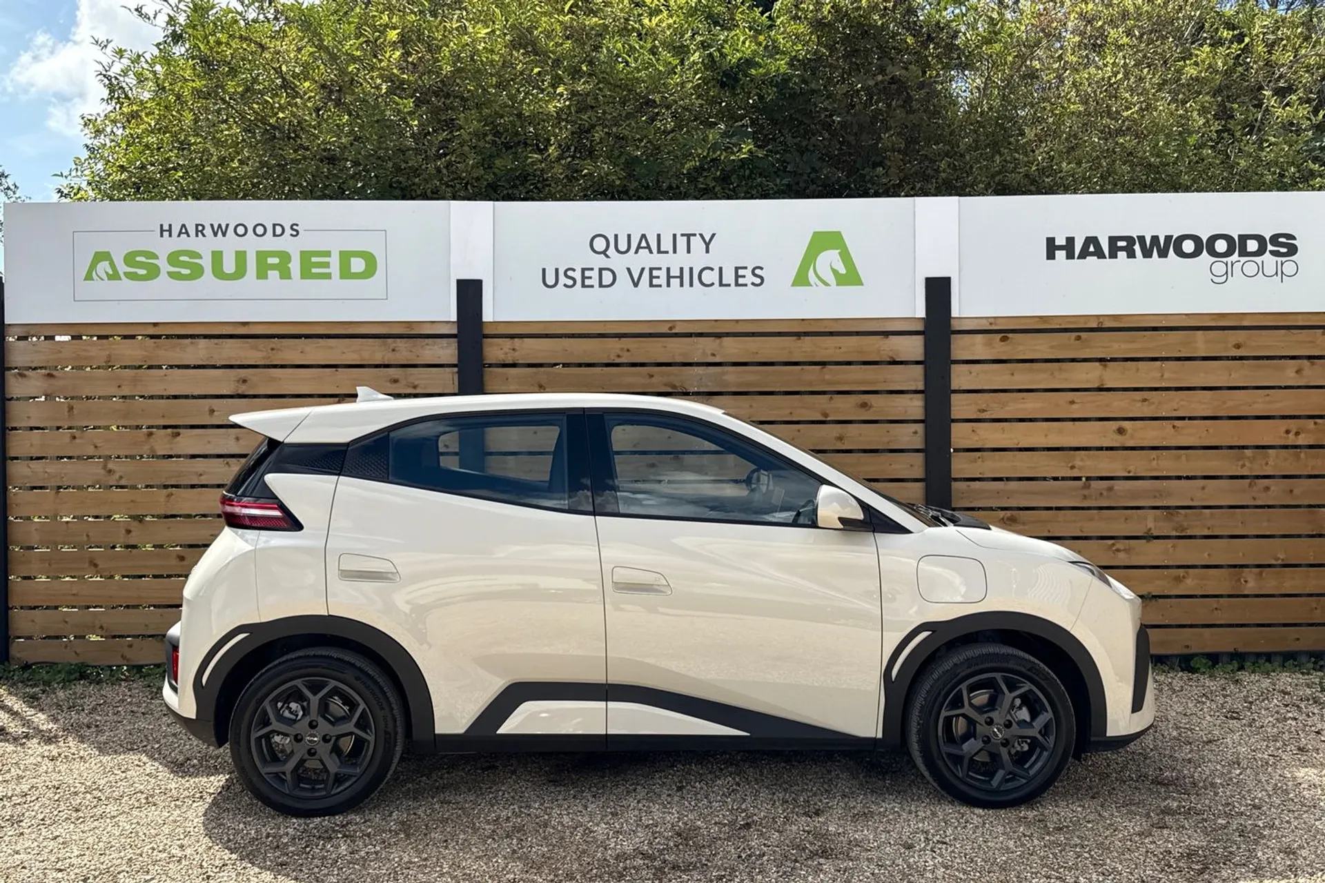 BYD DOLPHIN SURF thumbnail image number 2