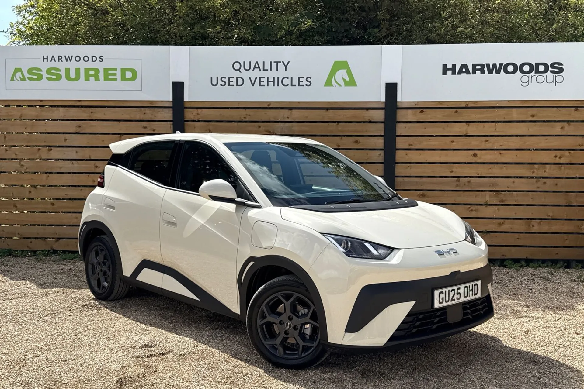 BYD DOLPHIN SURF focused image